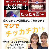 画像394